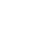 X icon